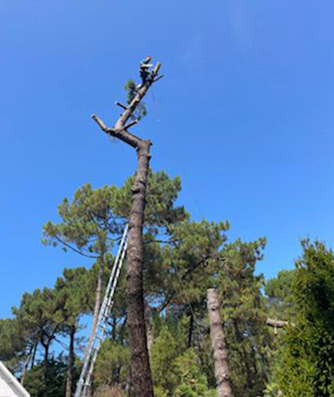 Entretien d'espaces verts et élagage à Madeleine De Nonancourt dans l'Eure 27 - PH espaces Verts