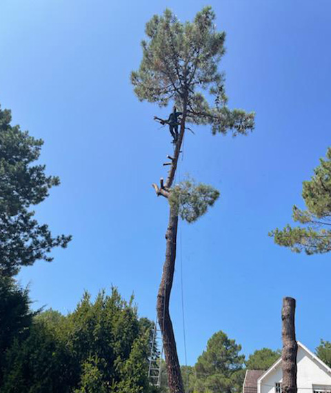 Entretien d'espaces verts et élagage à Madeleine De Nonancourt dans l'Eure 27 - PH espaces Verts