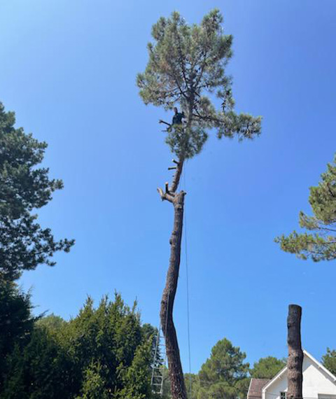 Entretien d'espaces verts et élagage à Madeleine De Nonancourt dans l'Eure 27 - PH espaces Verts