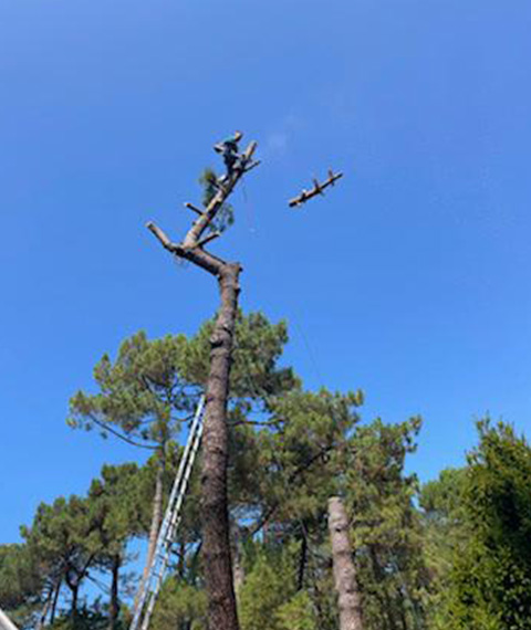 Entretien d'espaces verts et élagage à Madeleine De Nonancourt dans l'Eure 27 - PH espaces Verts