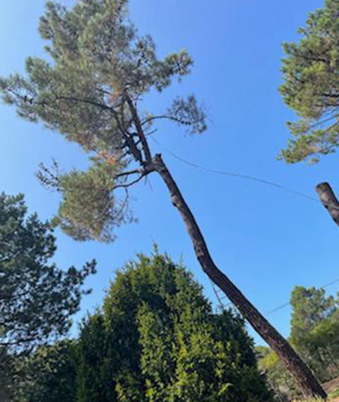 Entretien d'espaces verts et élagage à Madeleine De Nonancourt dans l'Eure 27 - PH espaces Verts