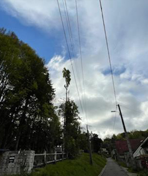 Entretien d'espaces verts et élagage à Madeleine De Nonancourt dans l'Eure 27 - PH espaces Verts