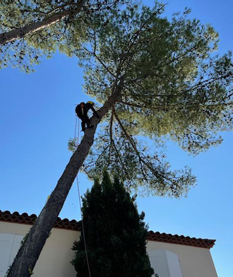 Entretien d'espaces verts et élagage à Madeleine De Nonancourt dans l'Eure 27 - PH espaces Verts