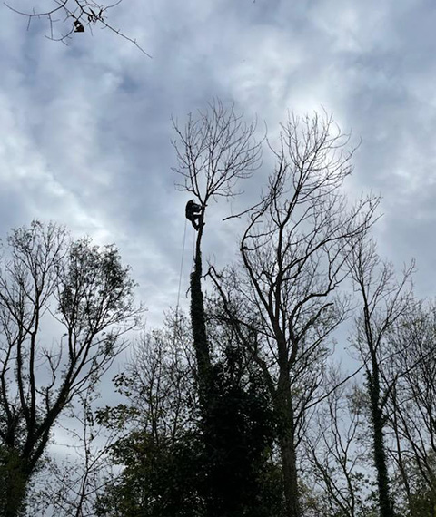 Entretien d'espaces verts et élagage à Madeleine De Nonancourt dans l'Eure 27 - PH espaces Verts