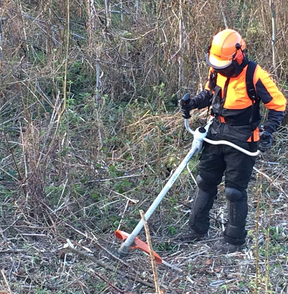 Debroussaillage à la Madeleine-de-Nonancourt dans l'Eure (27)