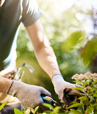 Entretien de jardin PH Espaces Verts à La Madeleine-de-Nonancourt et à Evreux dans l'Eure 27