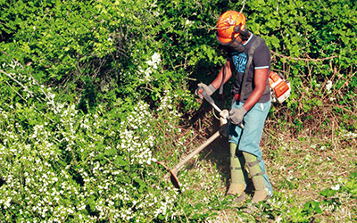 Débroussaillage d'espaces verts à La Madeleine-de-Nonancourt et à Evreux dans l'Eure (27)